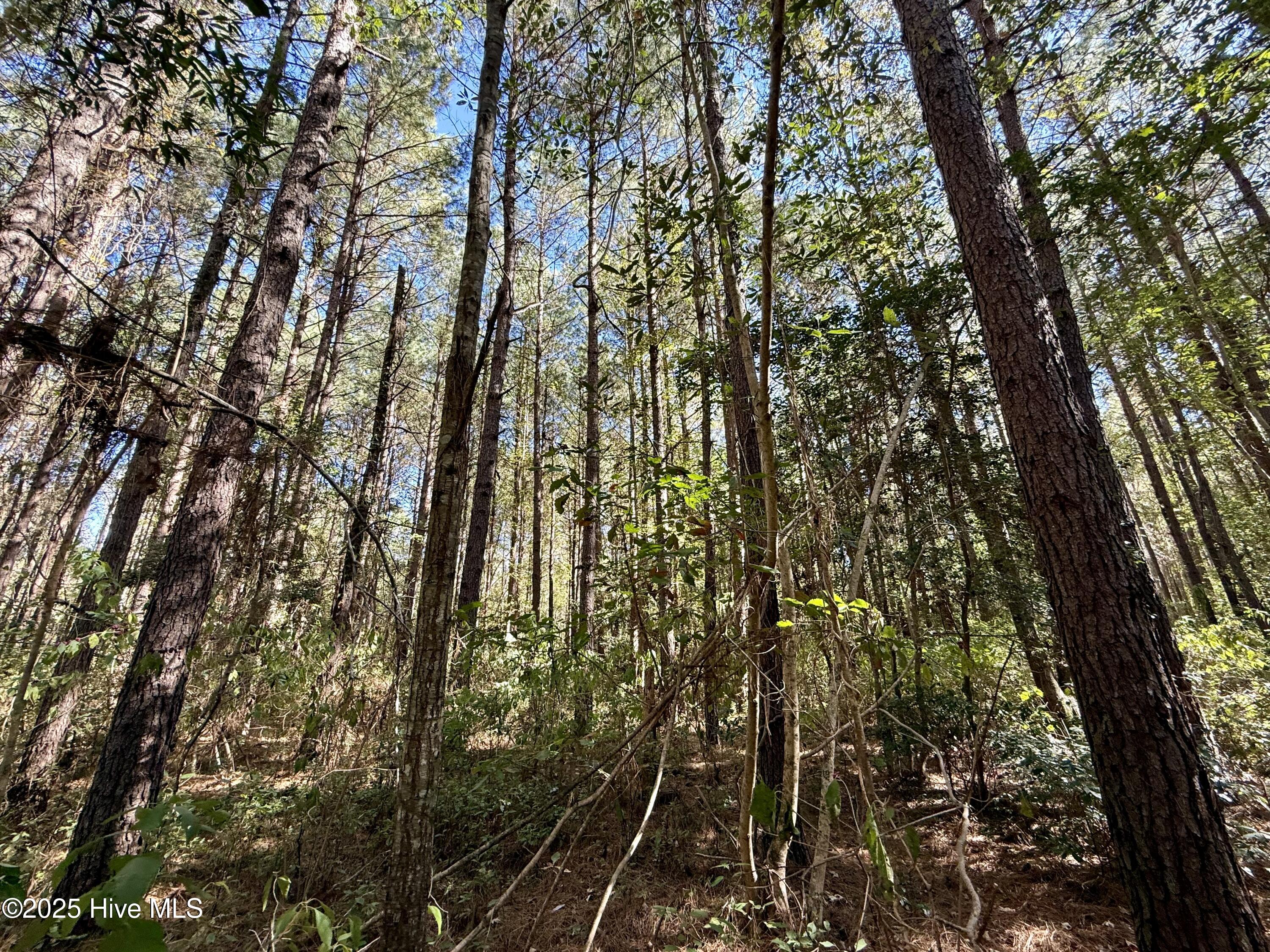 00 Gaskins Road Property Photo 24