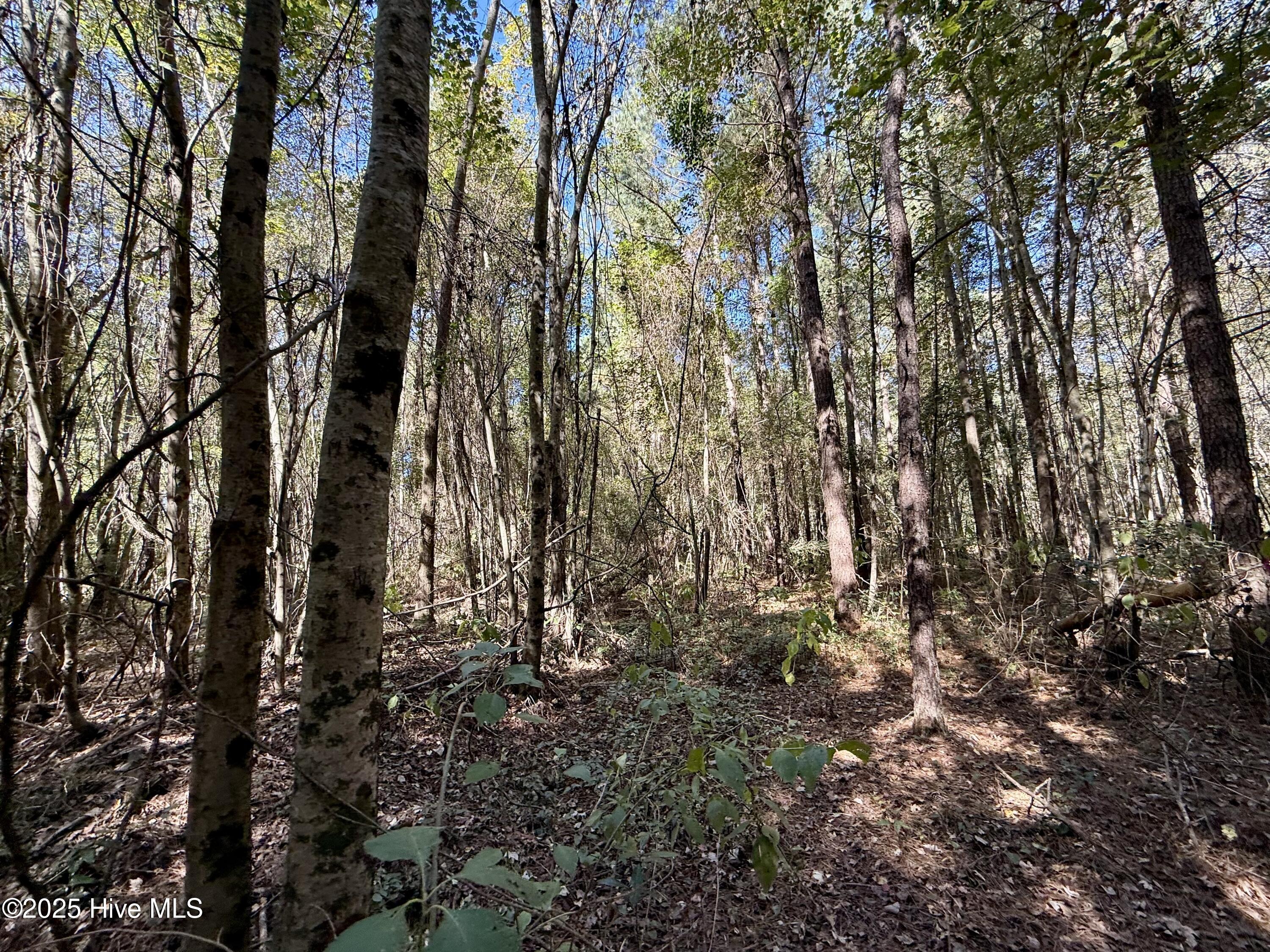 00 Gaskins Road Property Photo 25