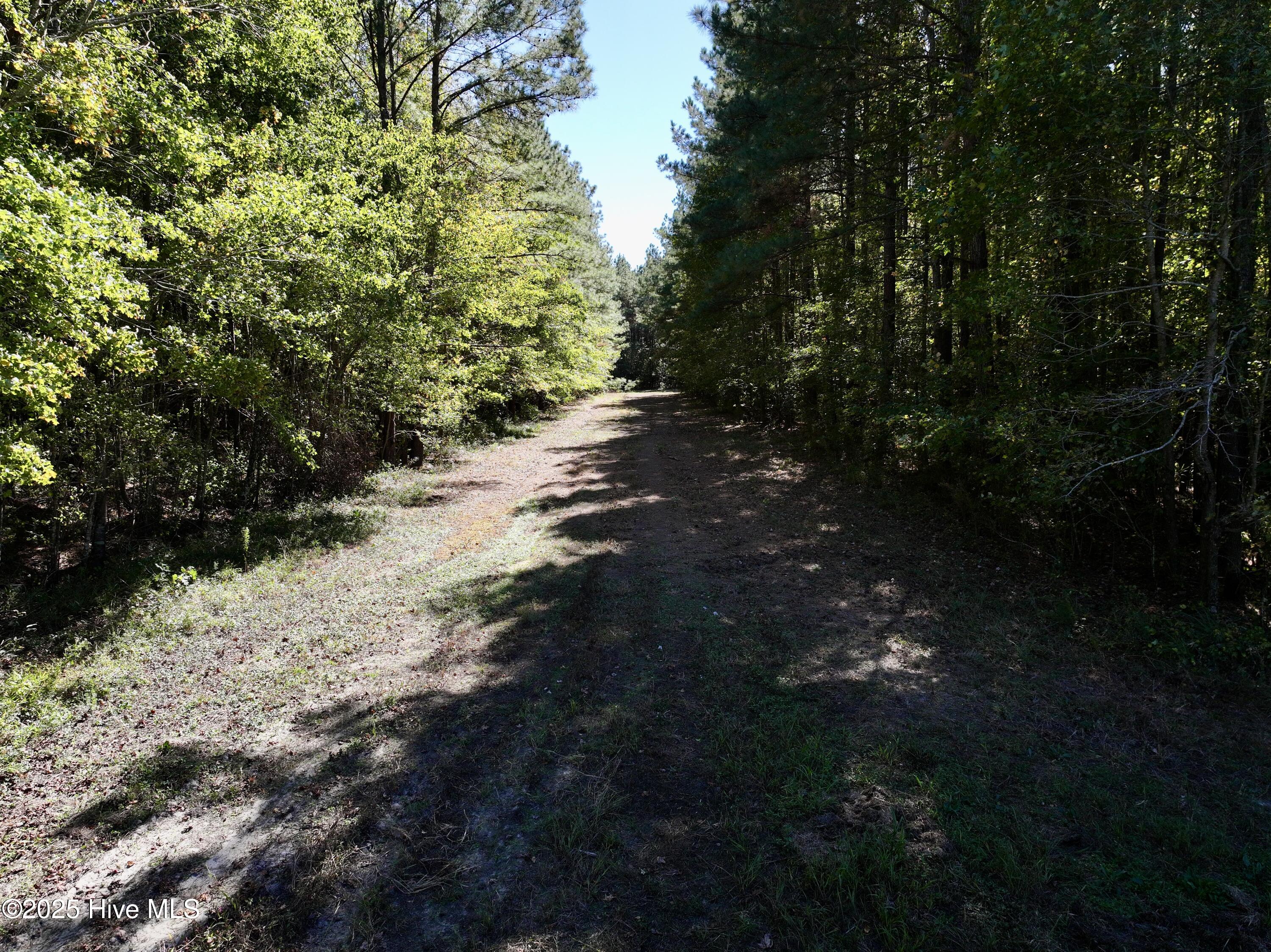 00 Gaskins Road Property Photo 31