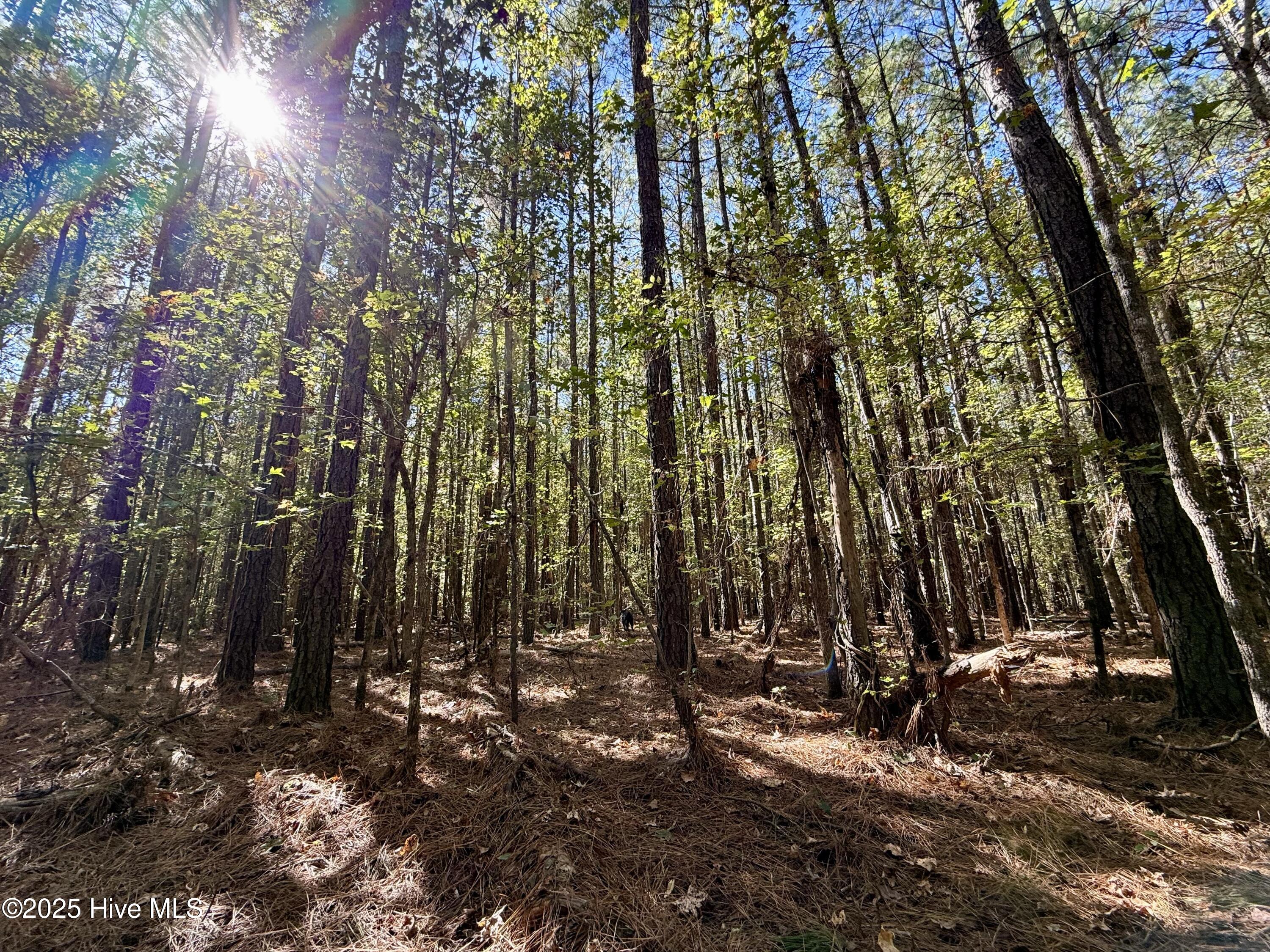 00 Gaskins Road Property Photo 32