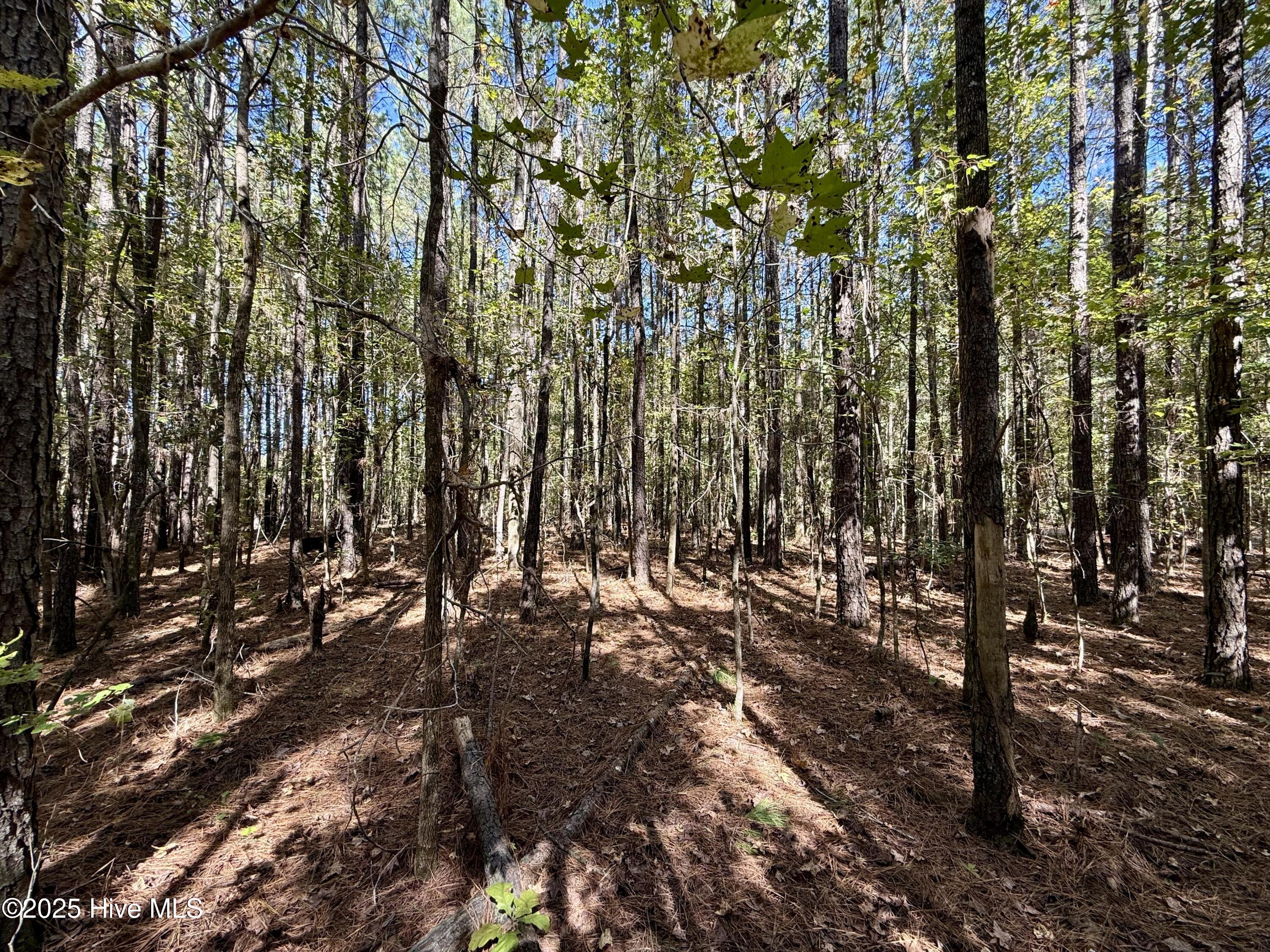 00 Gaskins Road Property Photo 33