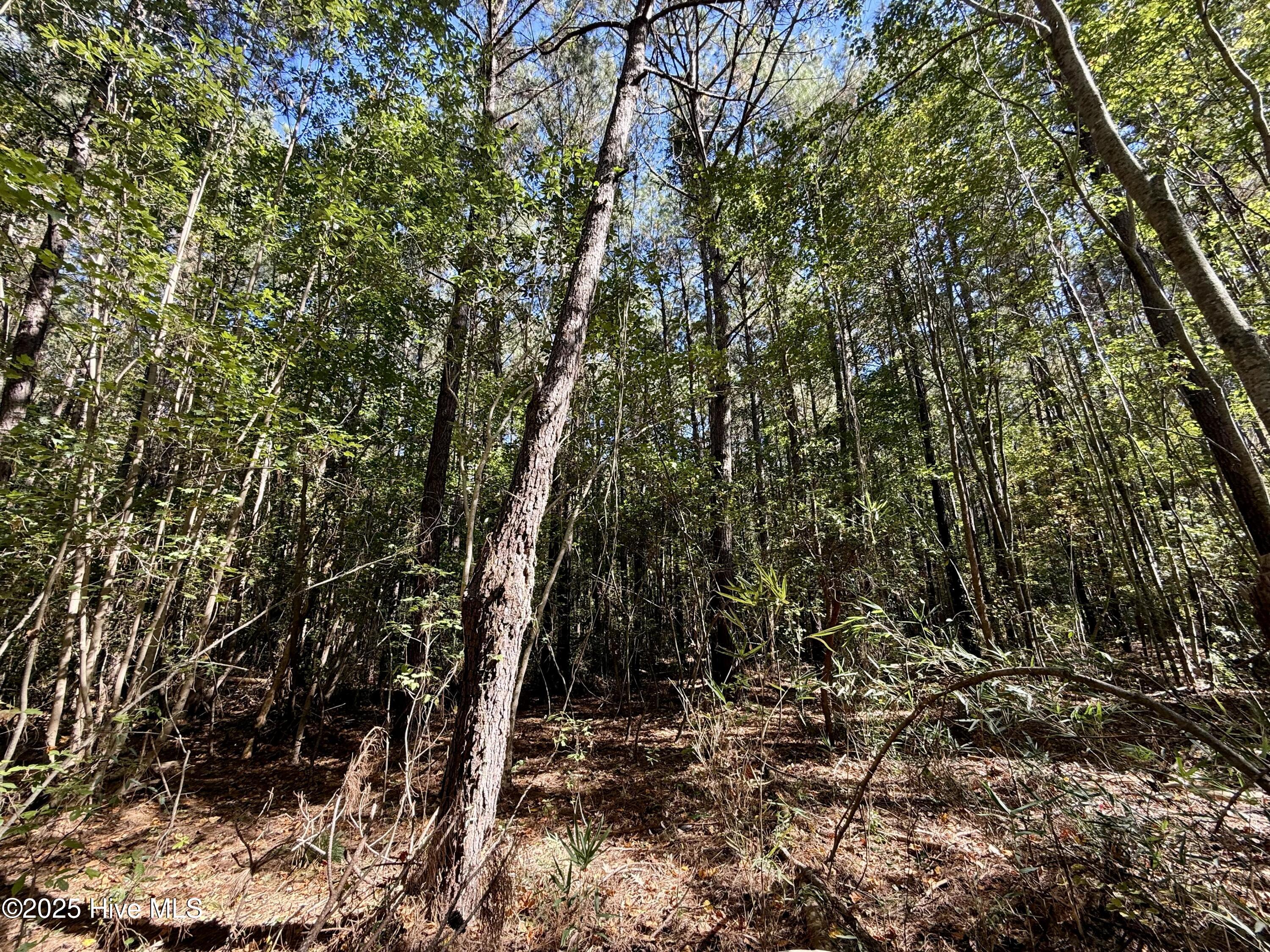 00 Gaskins Road Property Photo 34