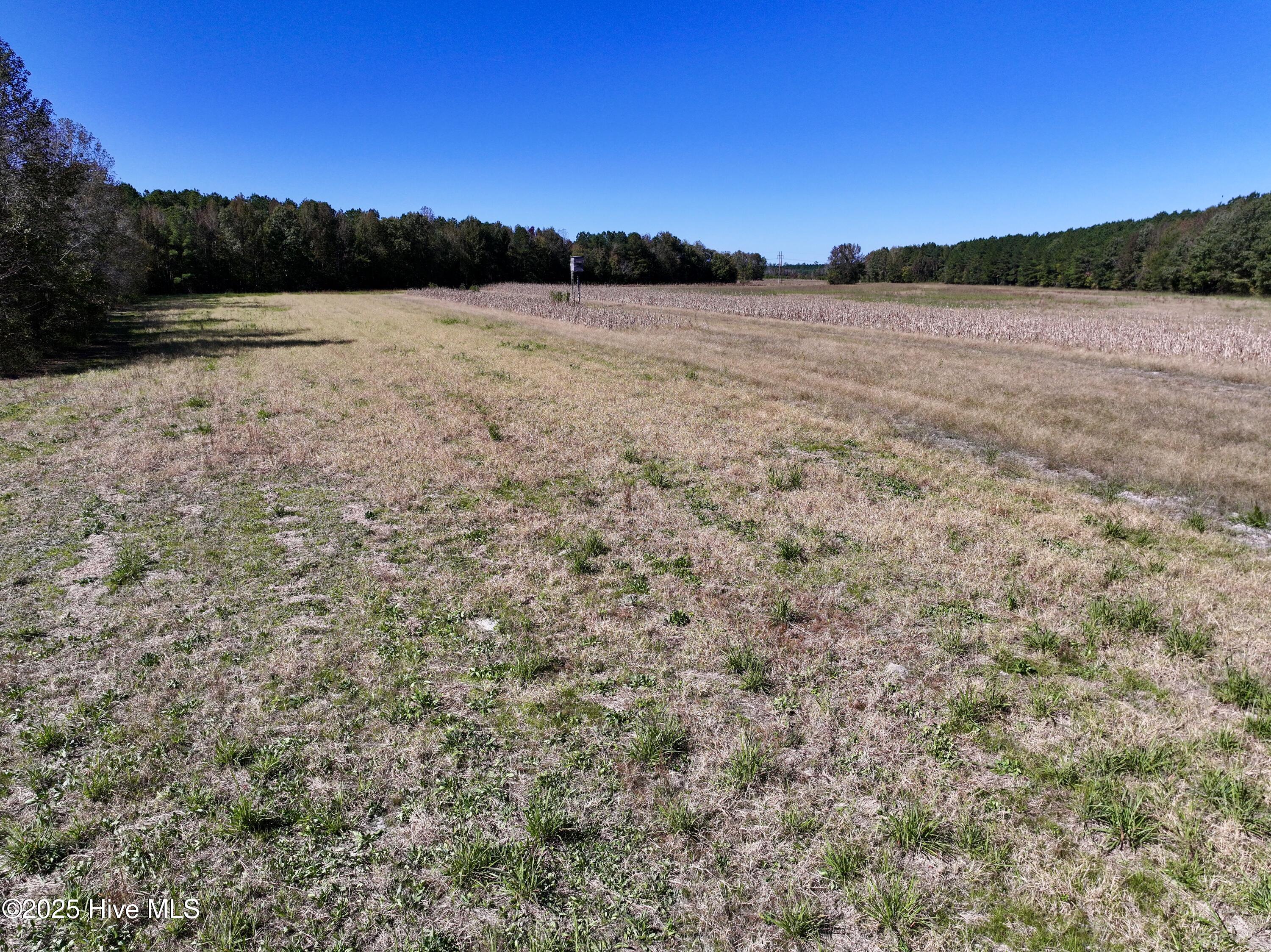 00 Gaskins Road Property Photo 35