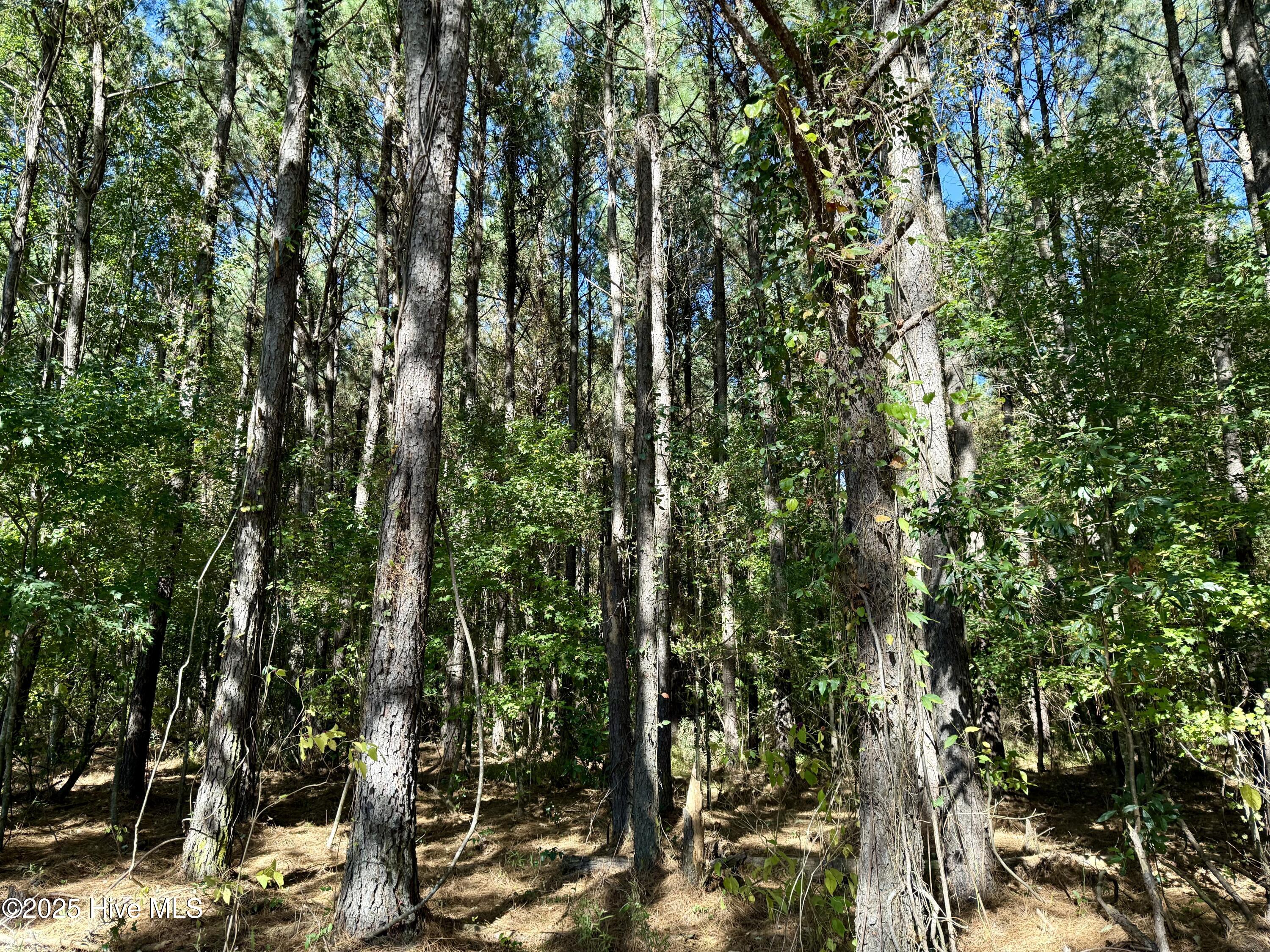 00 Gaskins Road Property Photo 38