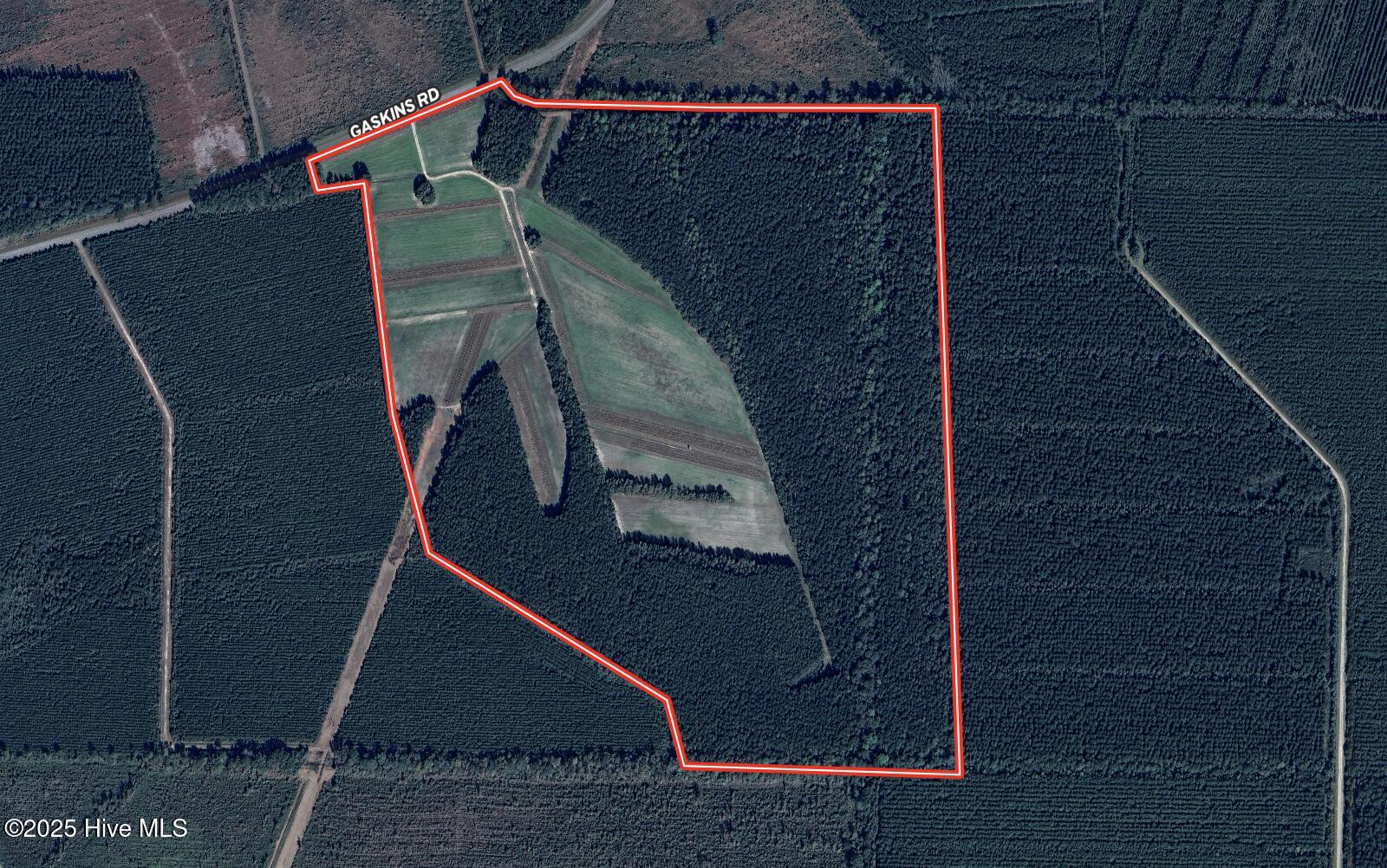 00 Gaskins Road Property Photo 41