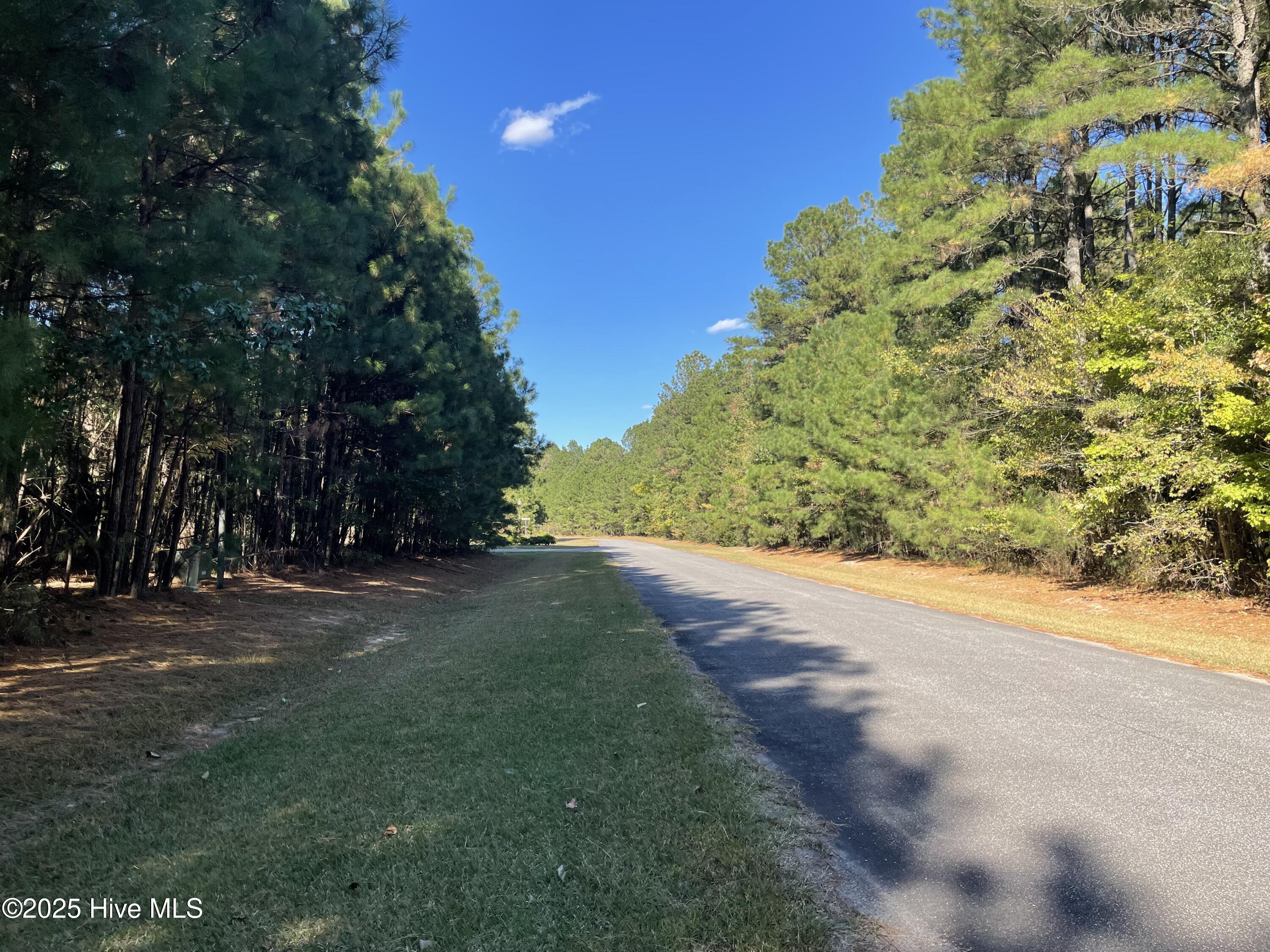 Lot 10 Bethel Creek Lane Property Photo 4