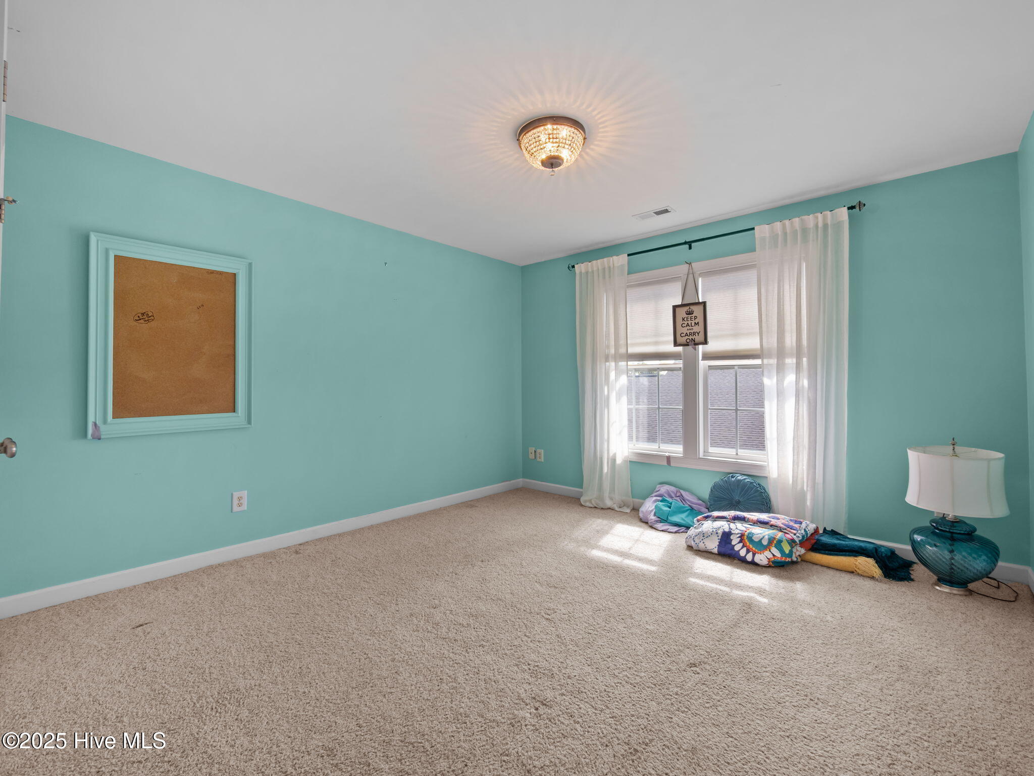 105 Everette Court Property Photo 61