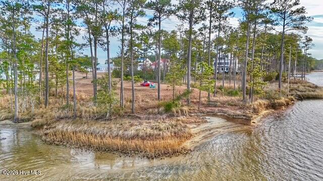 71 3 Jayne Point Property Photo 30