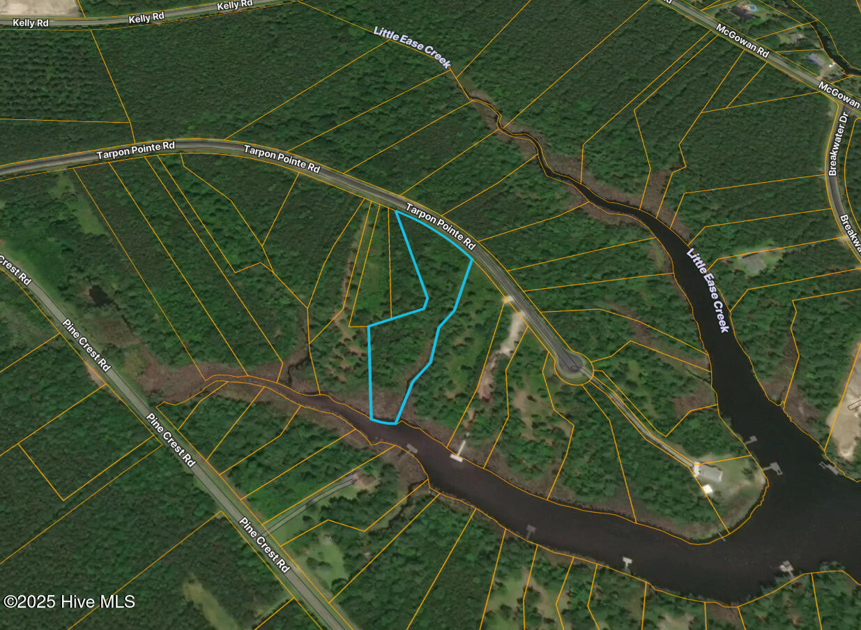 00 Tarpon Pointe Road Property Photo 1