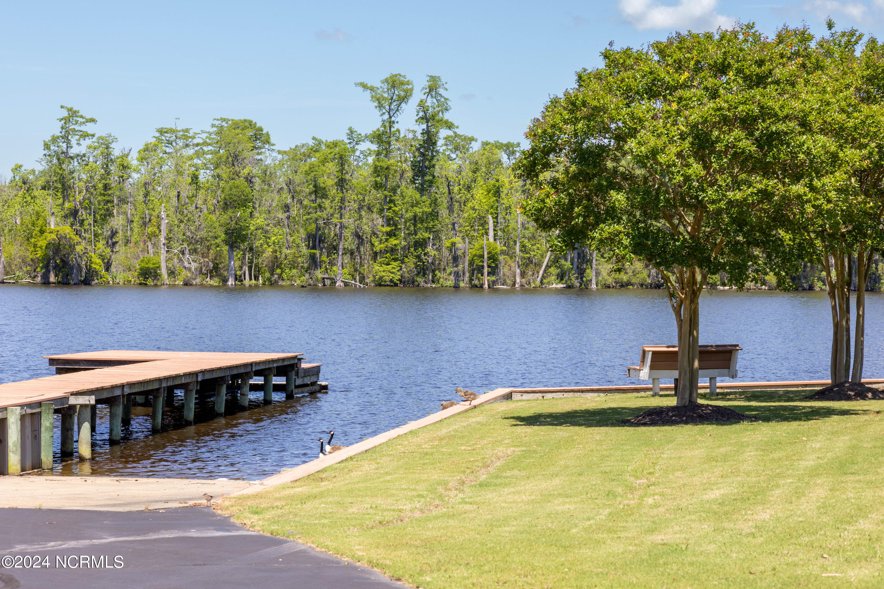 800 Batts Island Road Property Photo 5