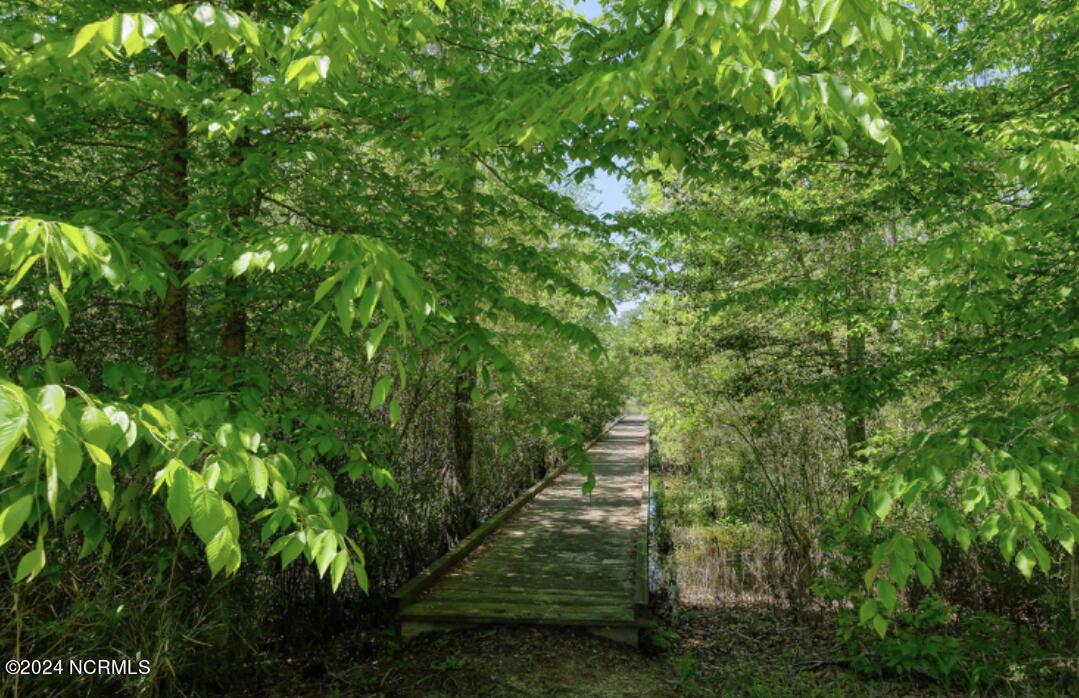 800 Batts Island Road Property Photo 7