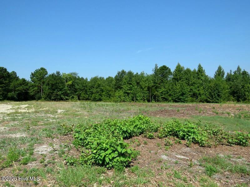 Tbd Alamac Road Property Photo 11