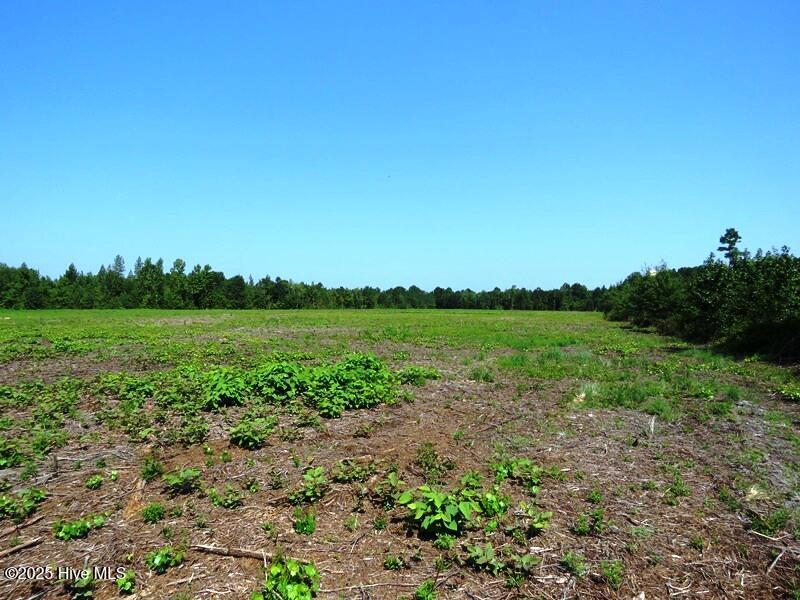 Tbd Alamac Road Property Photo 14