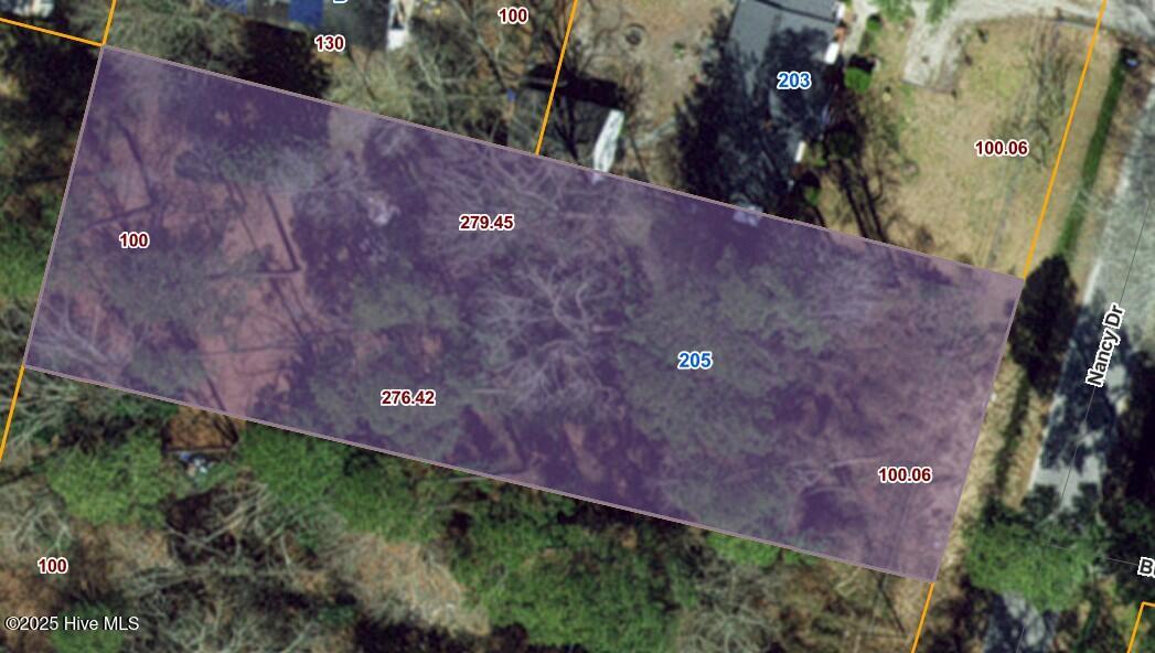 205 Nancy Drive Property Photo 1