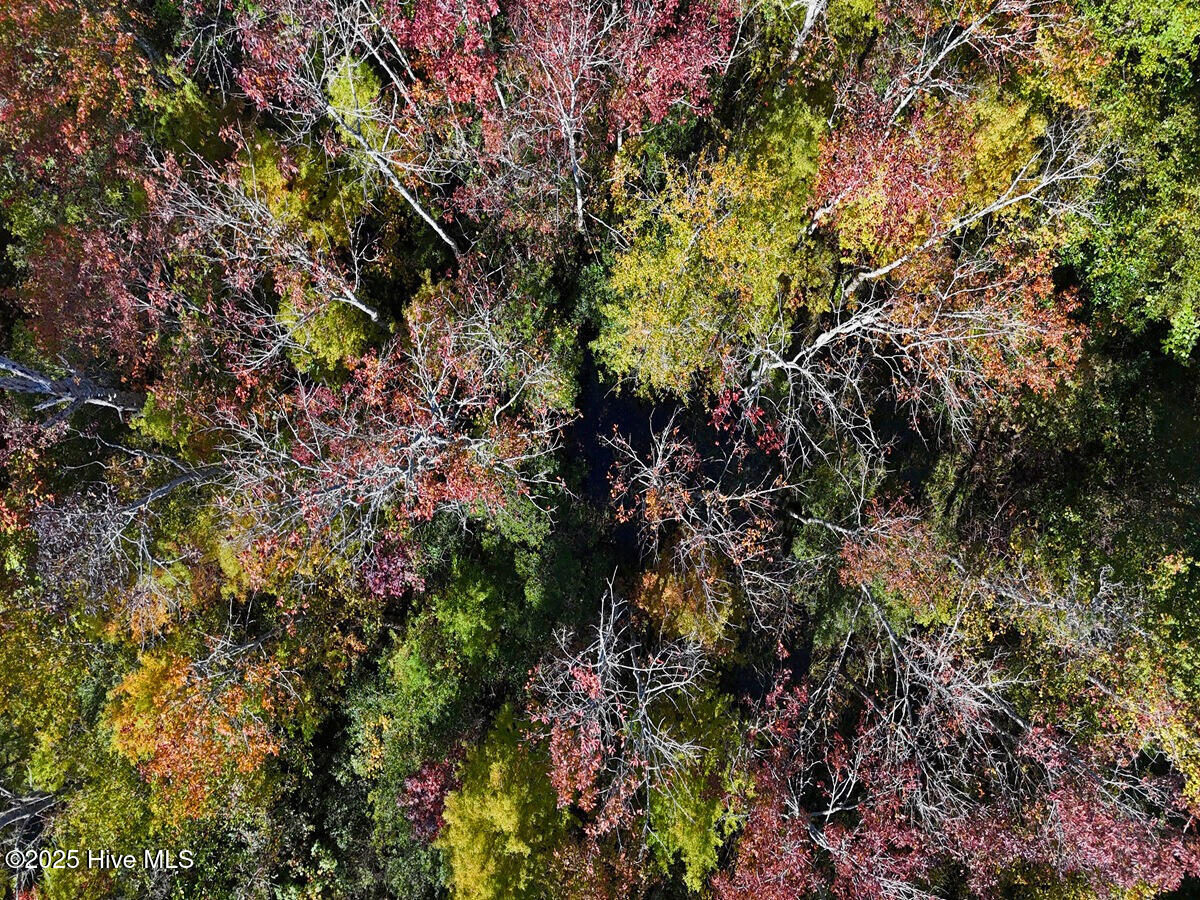 24451 50 Property Photo 6