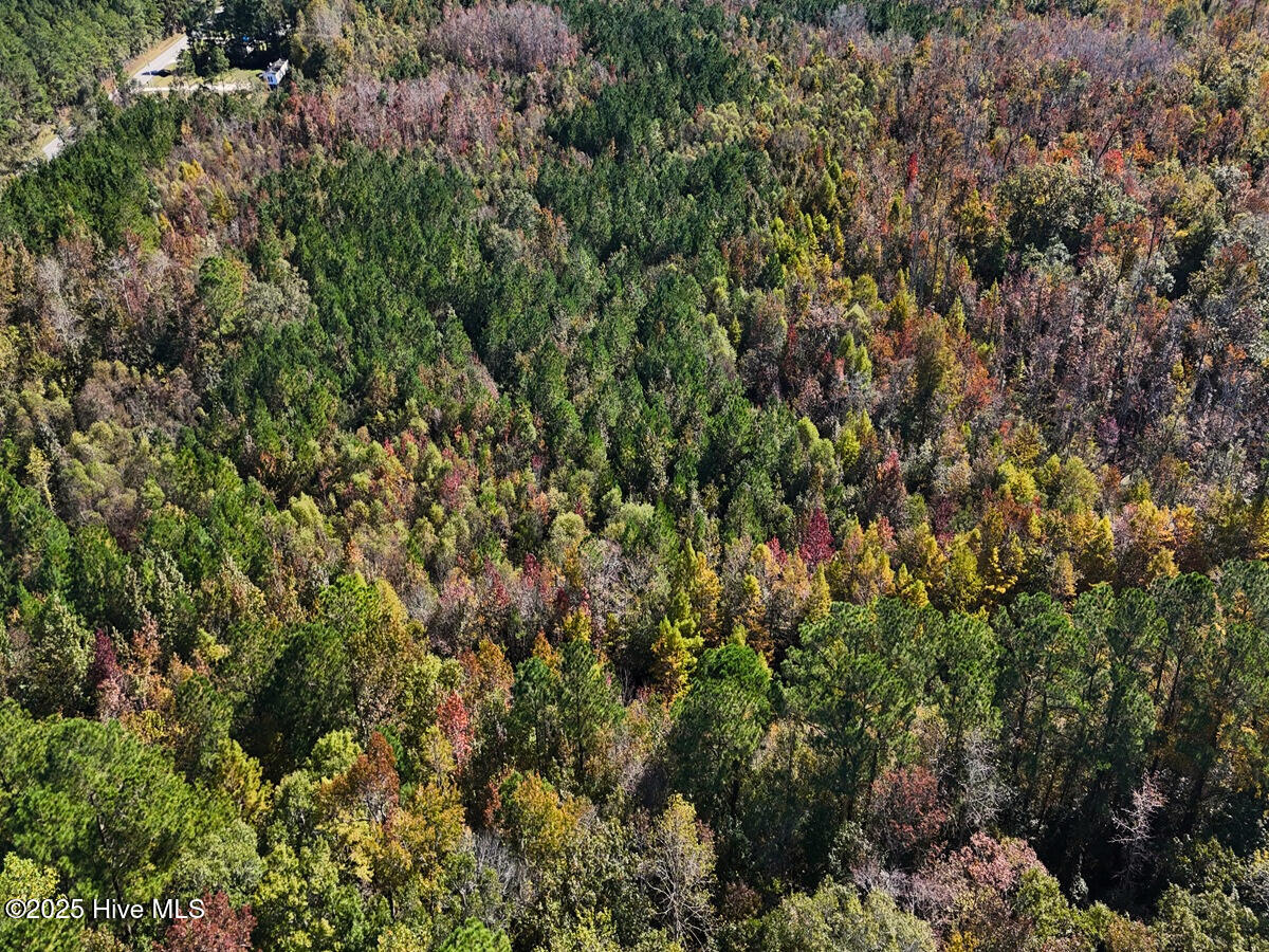 24451 50 Property Photo 7