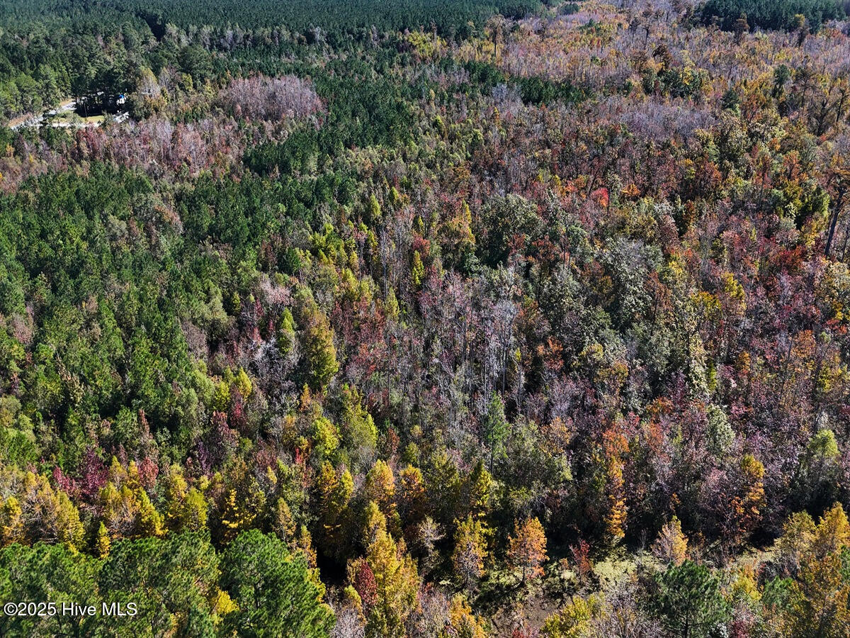 24451 50 Property Photo 8