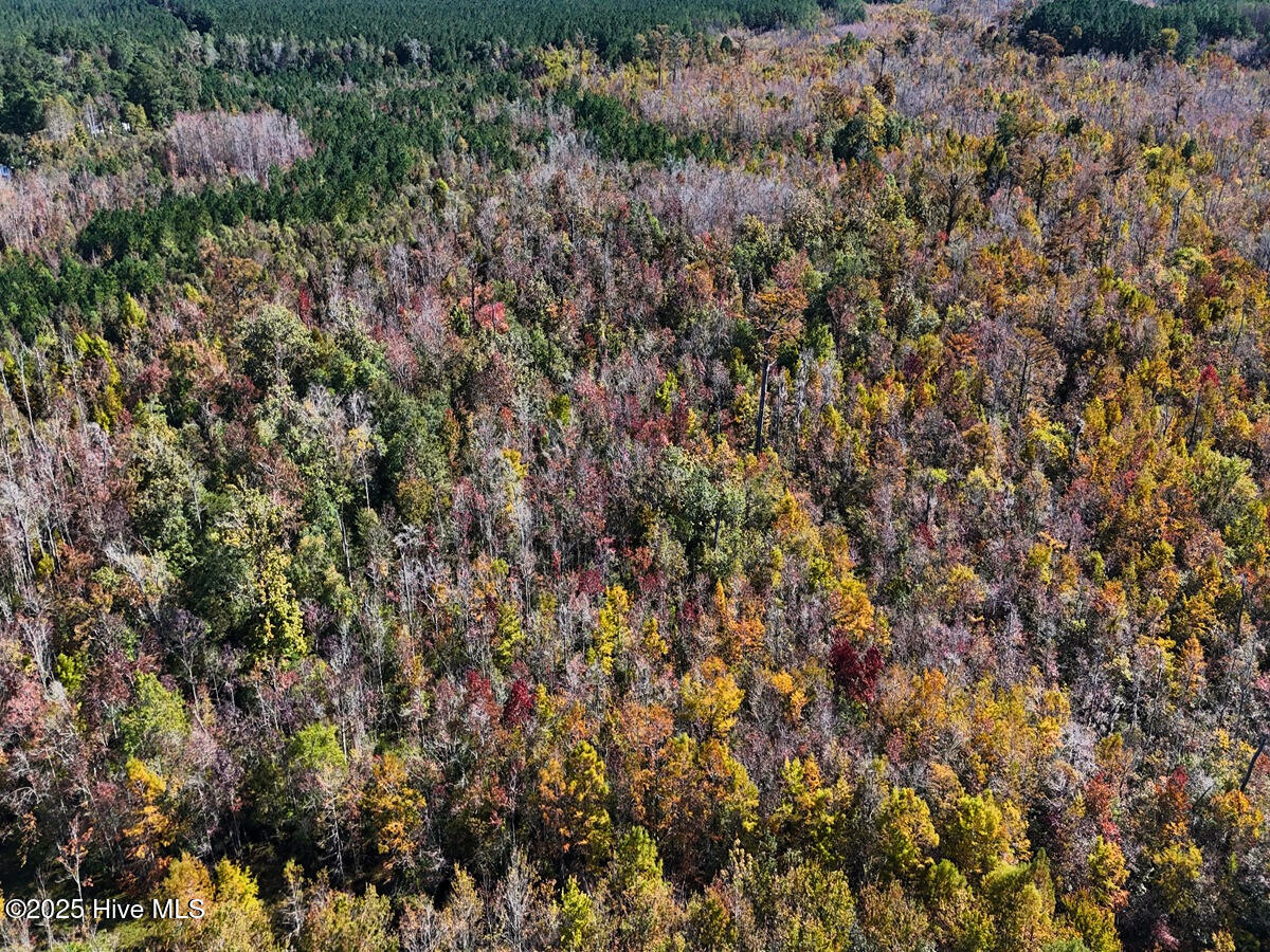 24451 50 Property Photo 9