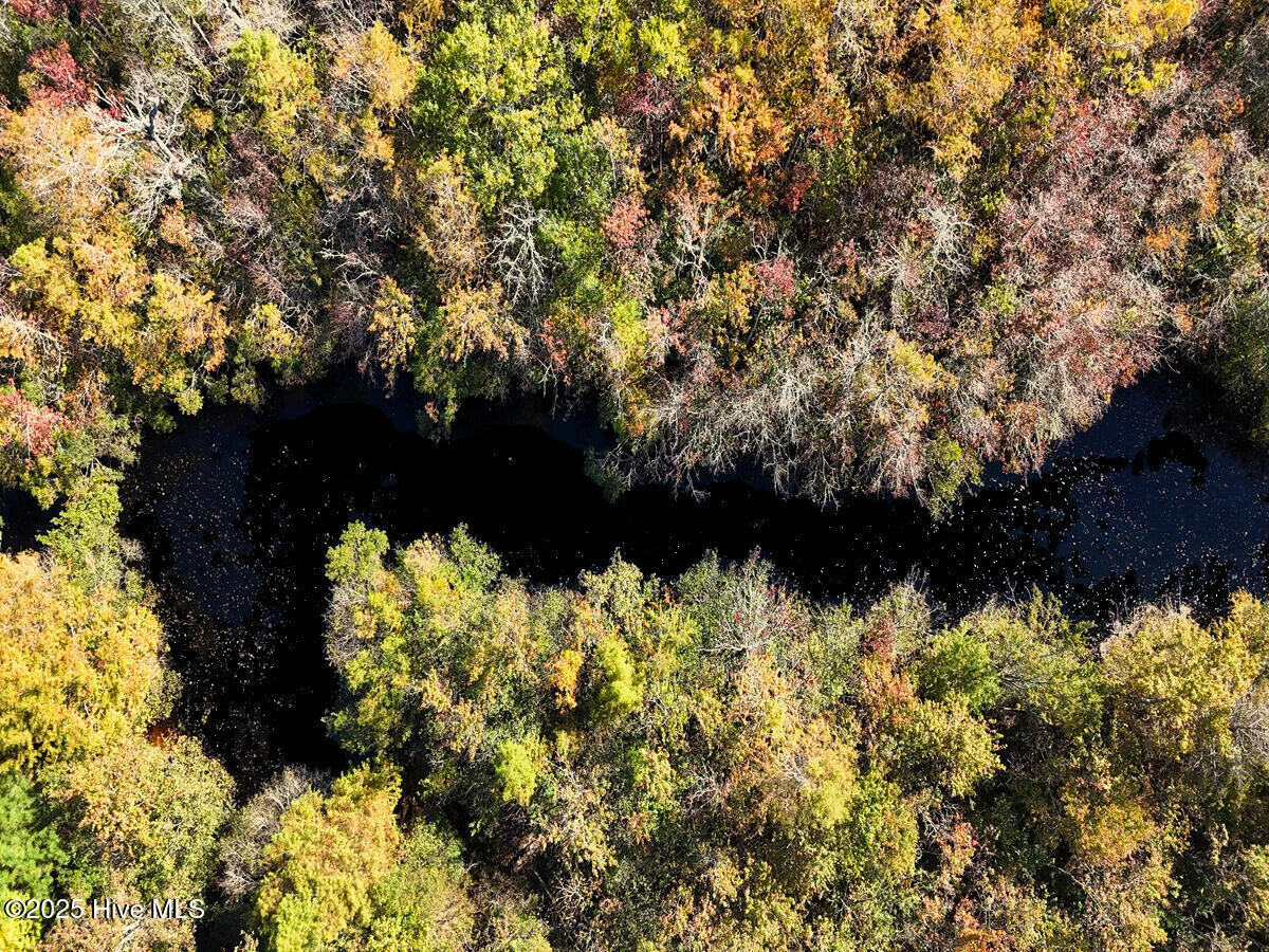 24451 50 Property Photo 11