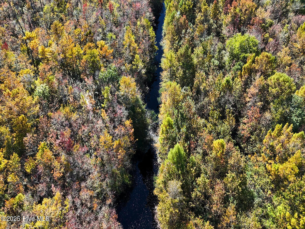 24451 50 Property Photo 12