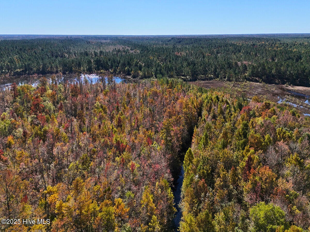 24451 50 Property Photo 13