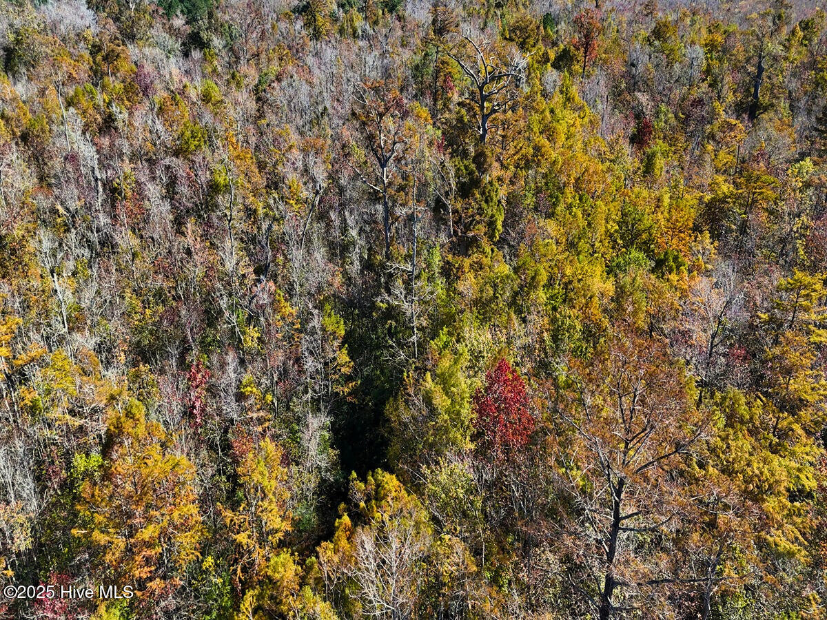 24451 50 Property Photo 14