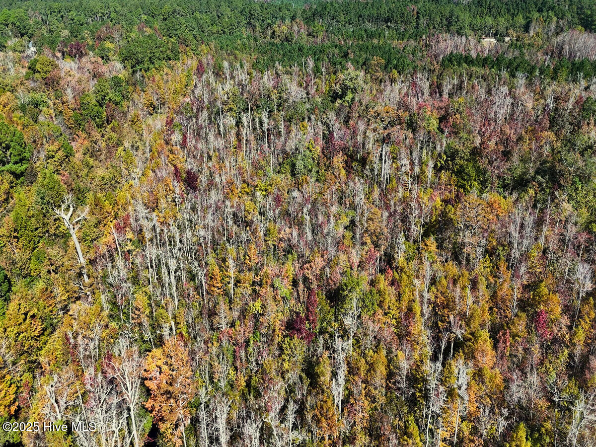 24451 50 Property Photo 15