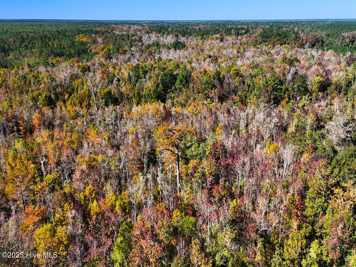 24451 50 Property Photo 16