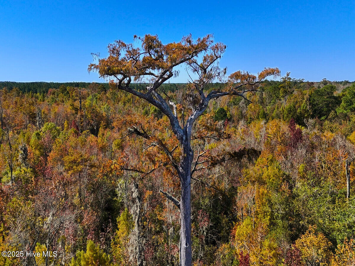 24451 50 Property Photo 17