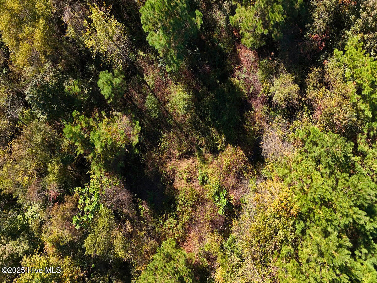 24451 50 Property Photo 18