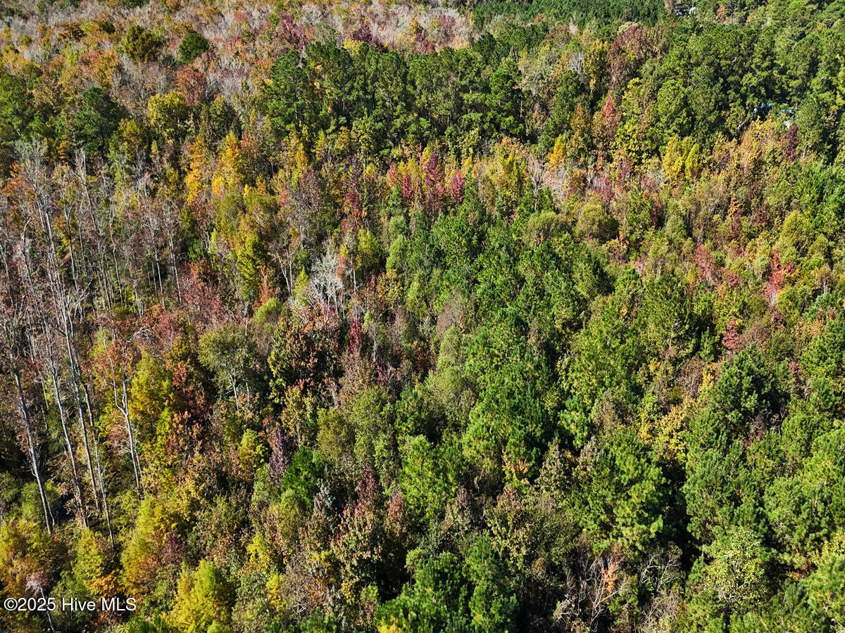 24451 50 Property Photo 19