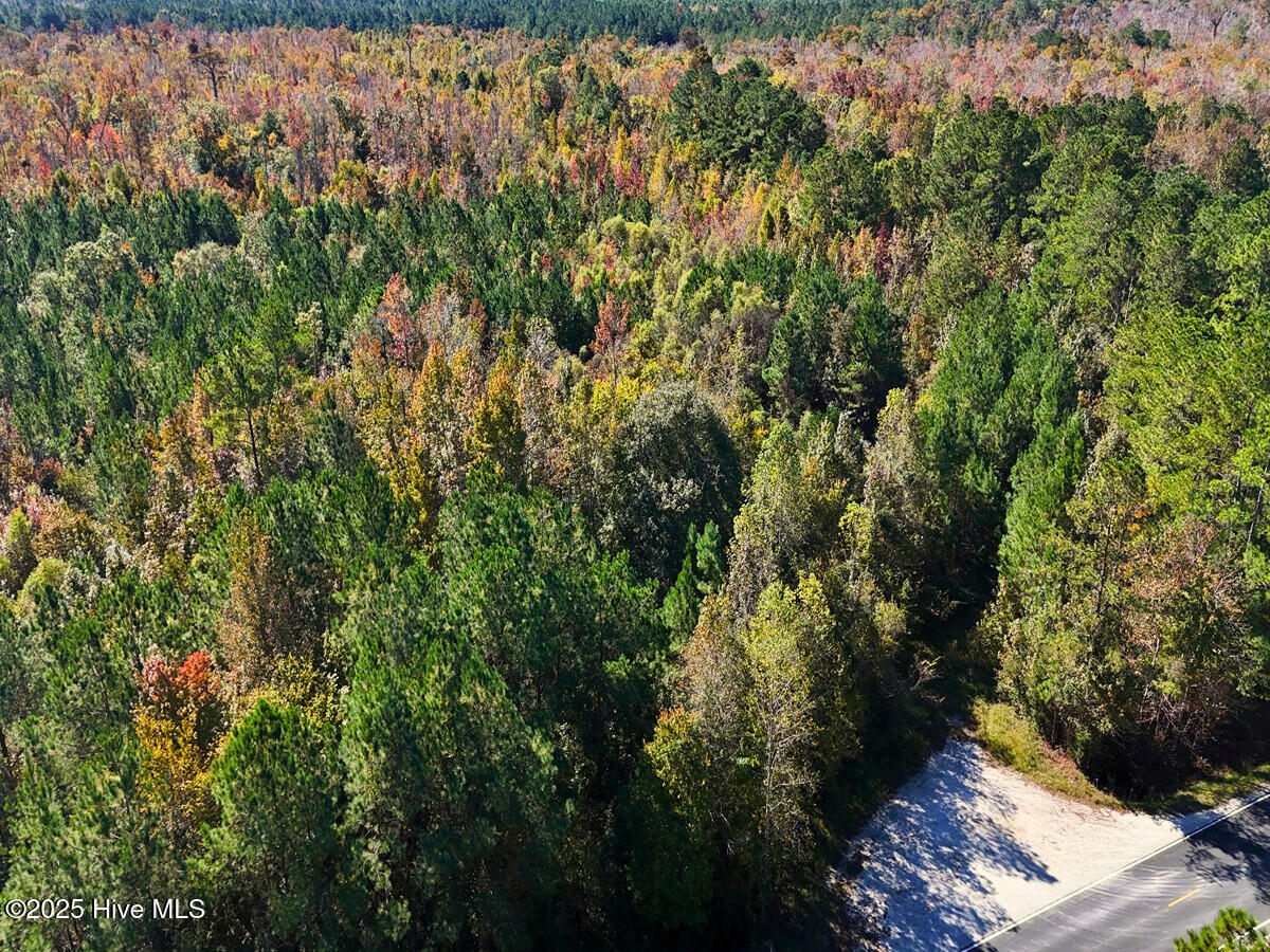 24451 50 Property Photo 21