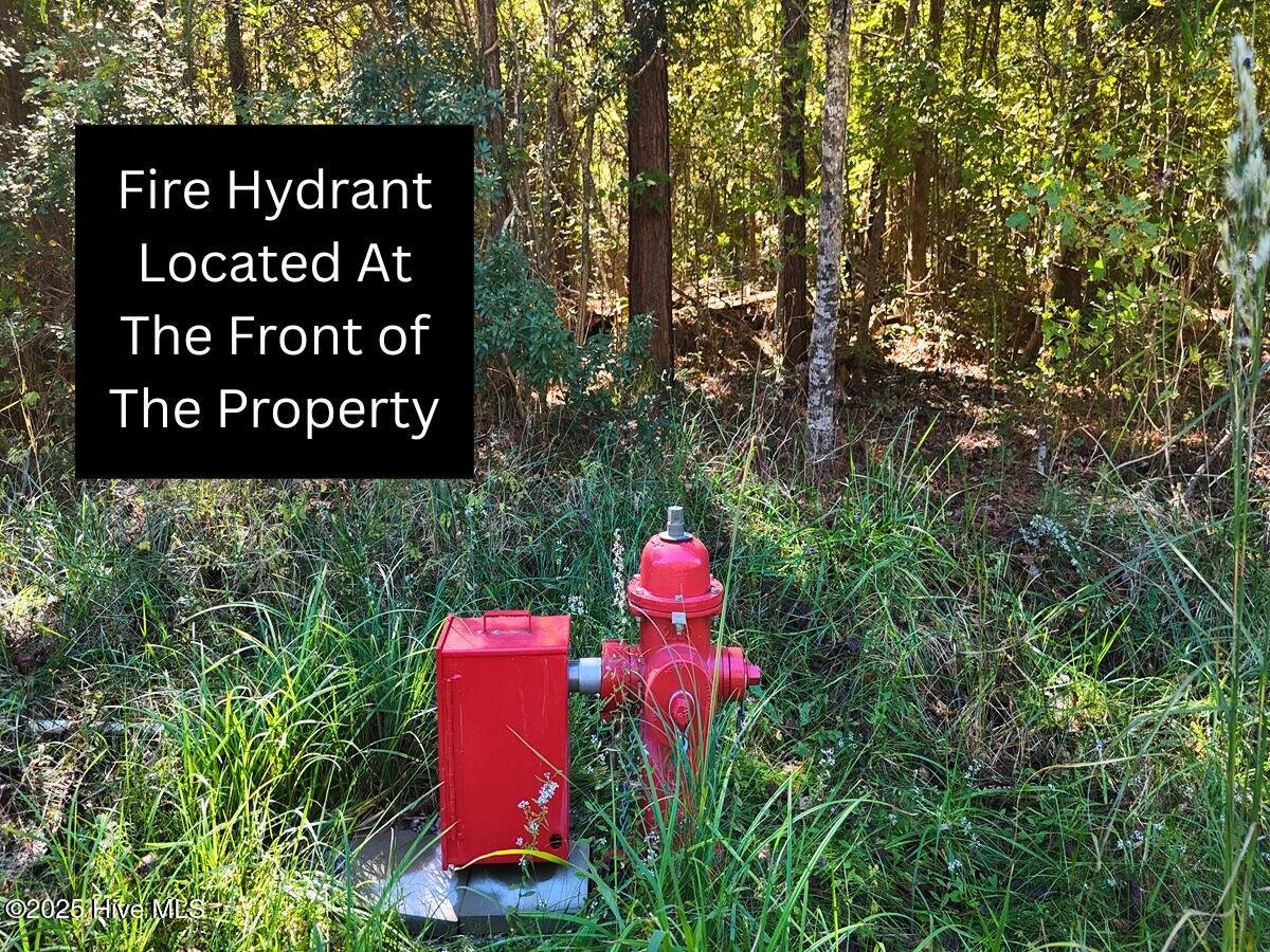 24451 50 Property Photo 23