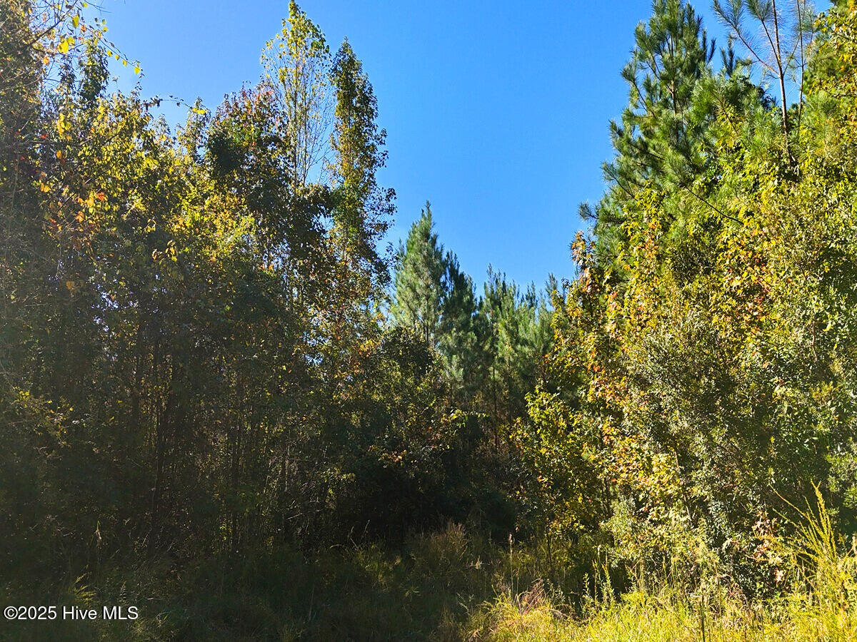 24451 50 Property Photo 24