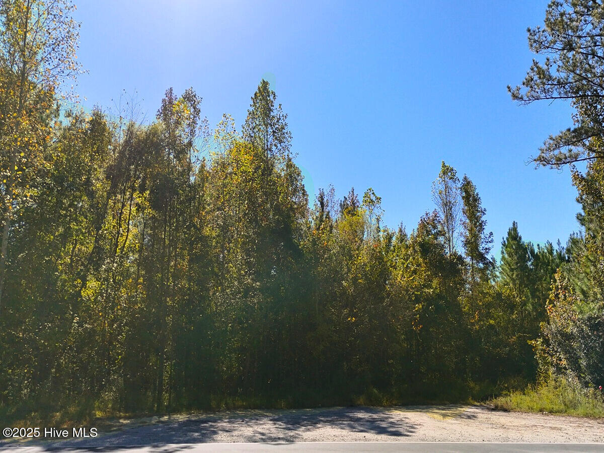 24451 50 Property Photo 25