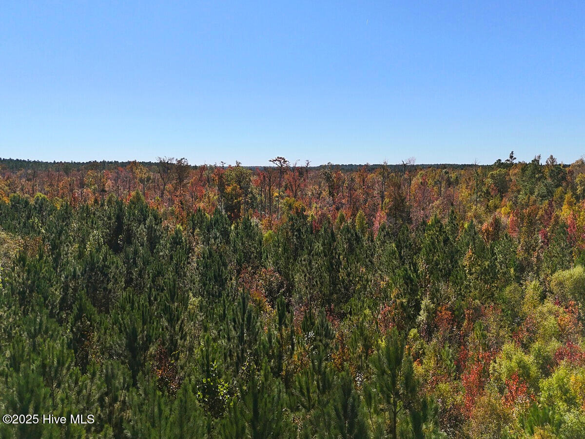 24451 50 Property Photo 26