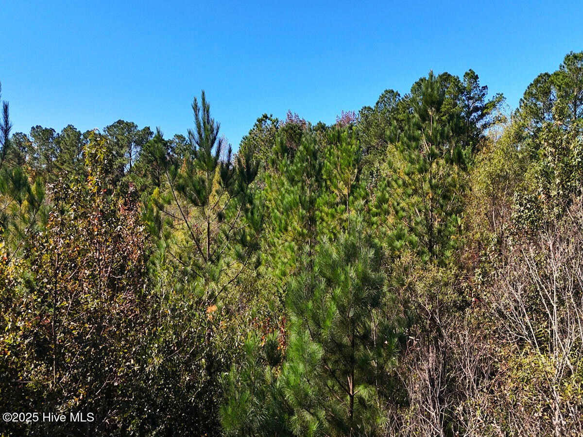 24451 50 Property Photo 27