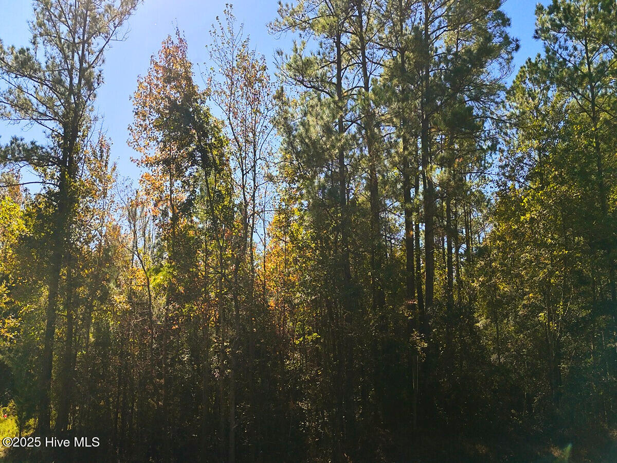 24451 50 Property Photo 28