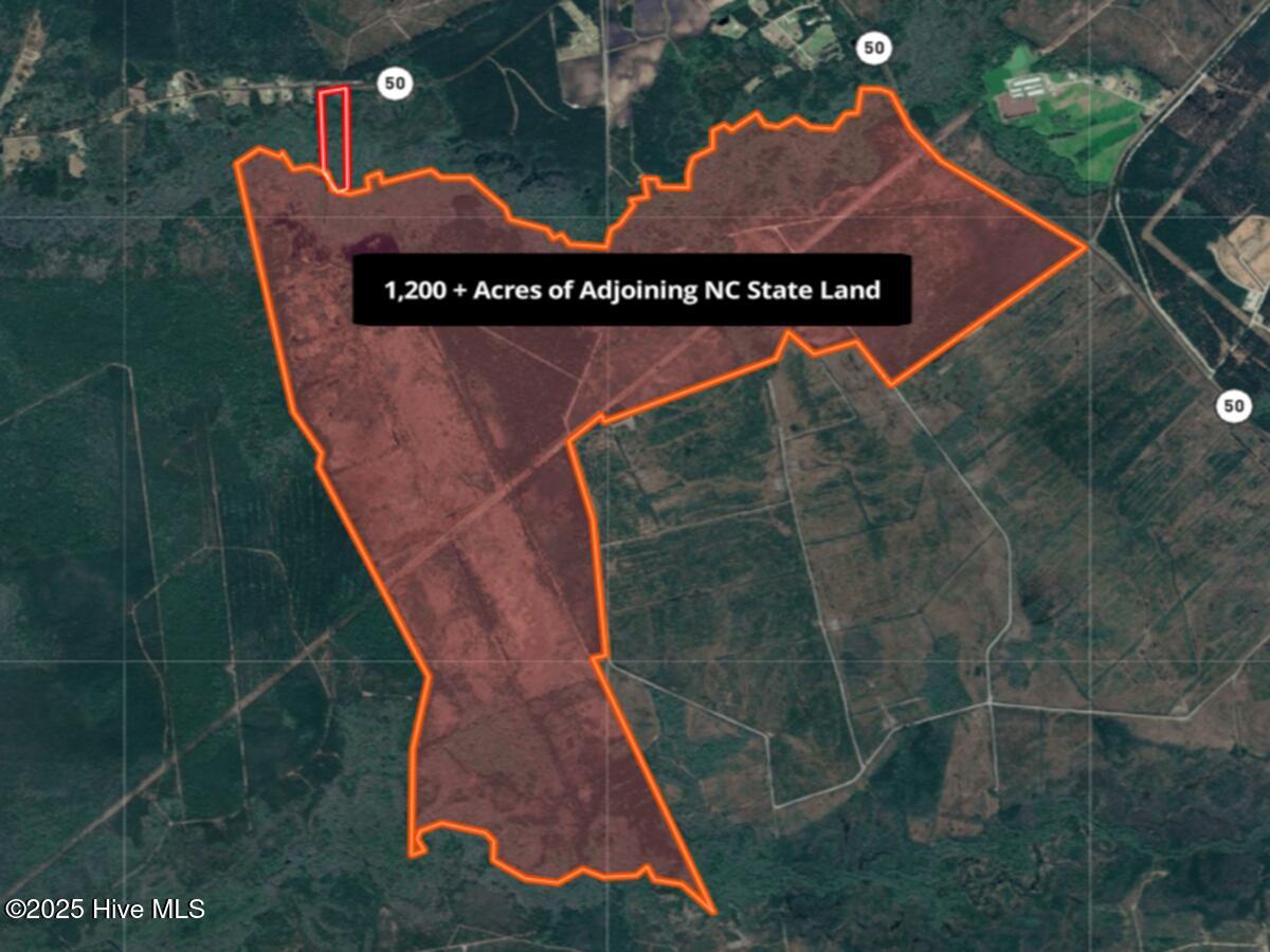 24451 50 Property Photo 29