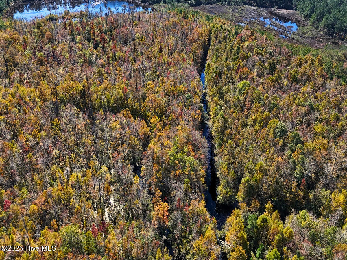 24451 50 Property Photo 30