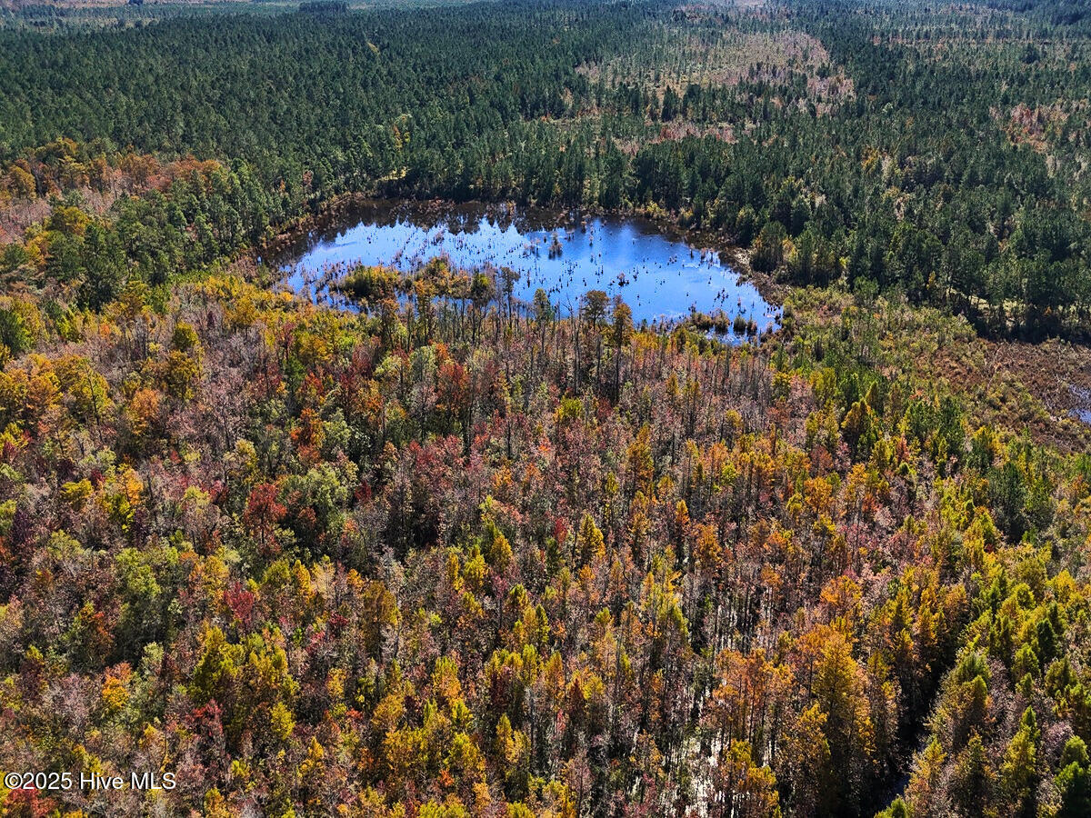 24451 50 Property Photo 31