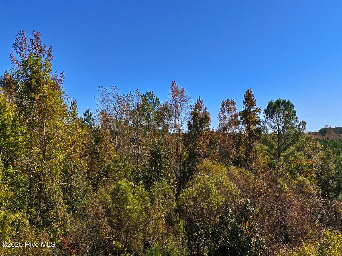 24451 50 Property Photo 33