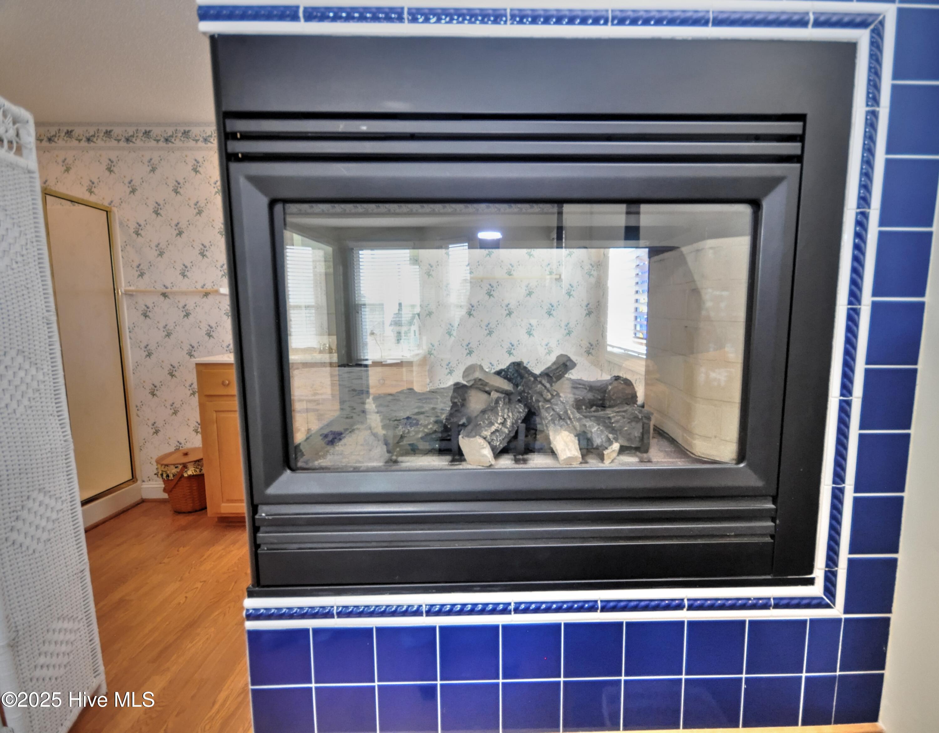 161 Brunswick Avenue Property Photo 31