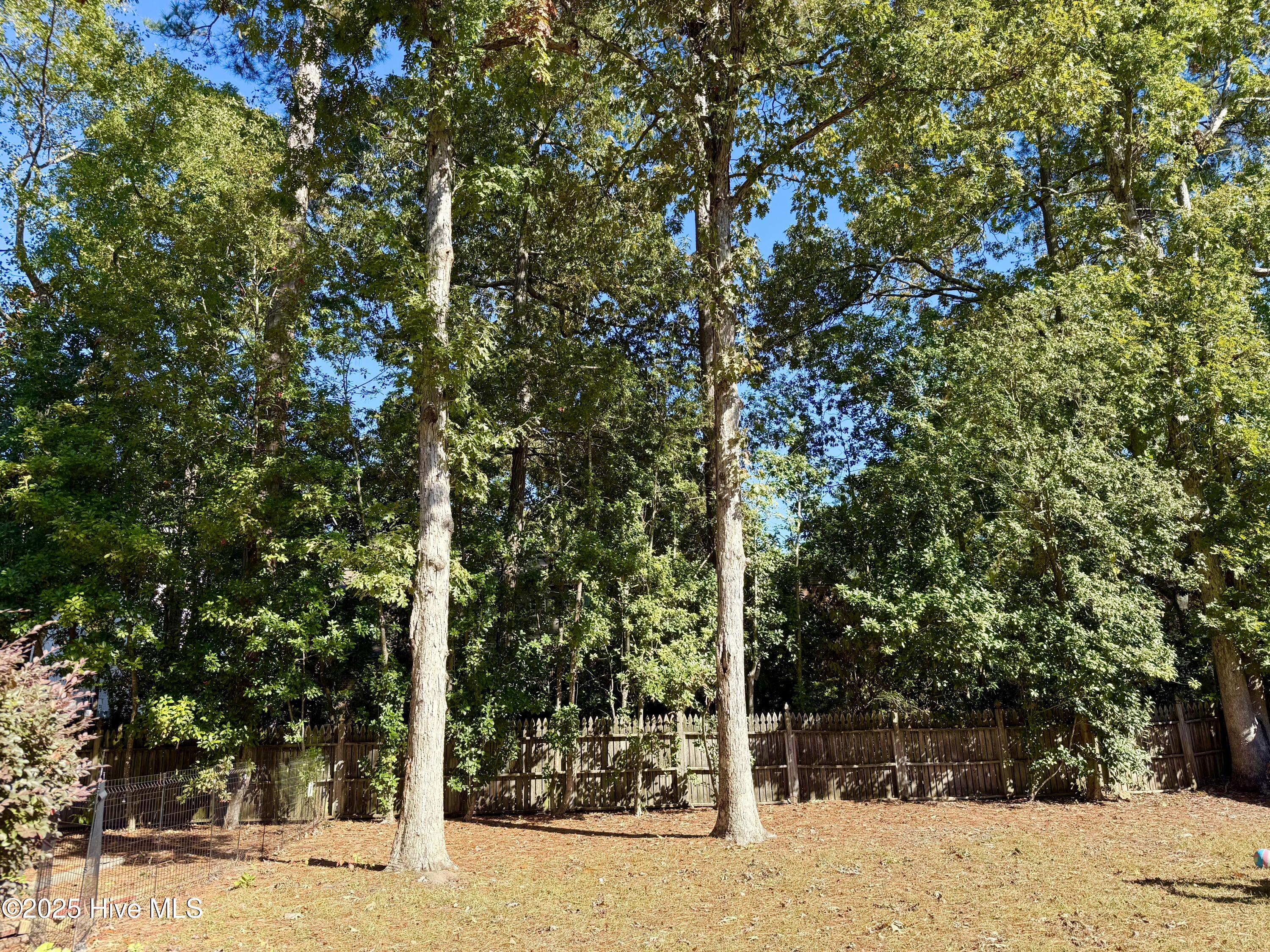 703 Daventry Drive Property Photo 11