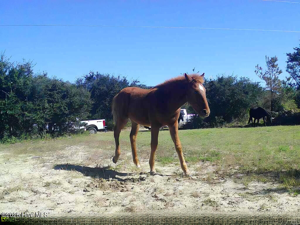 2126 Sandpiper Road Property Photo 3
