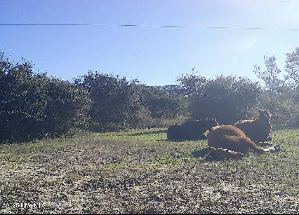 2126 Sandpiper Road Property Photo 4