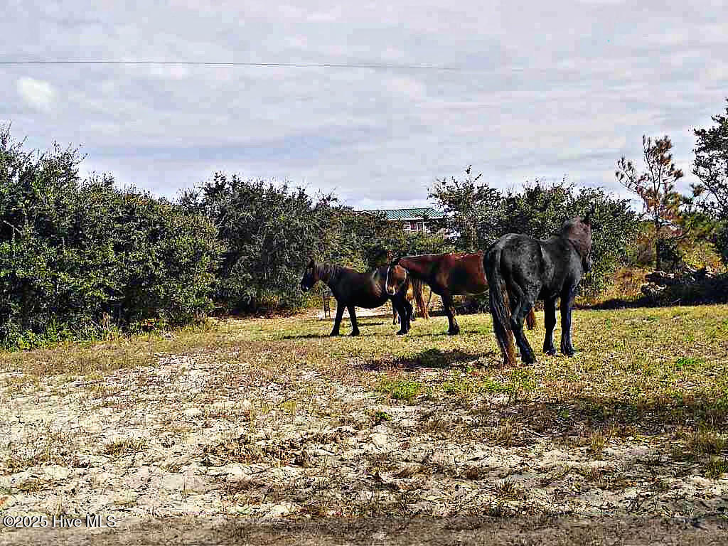 2126 Sandpiper Road Property Photo 5