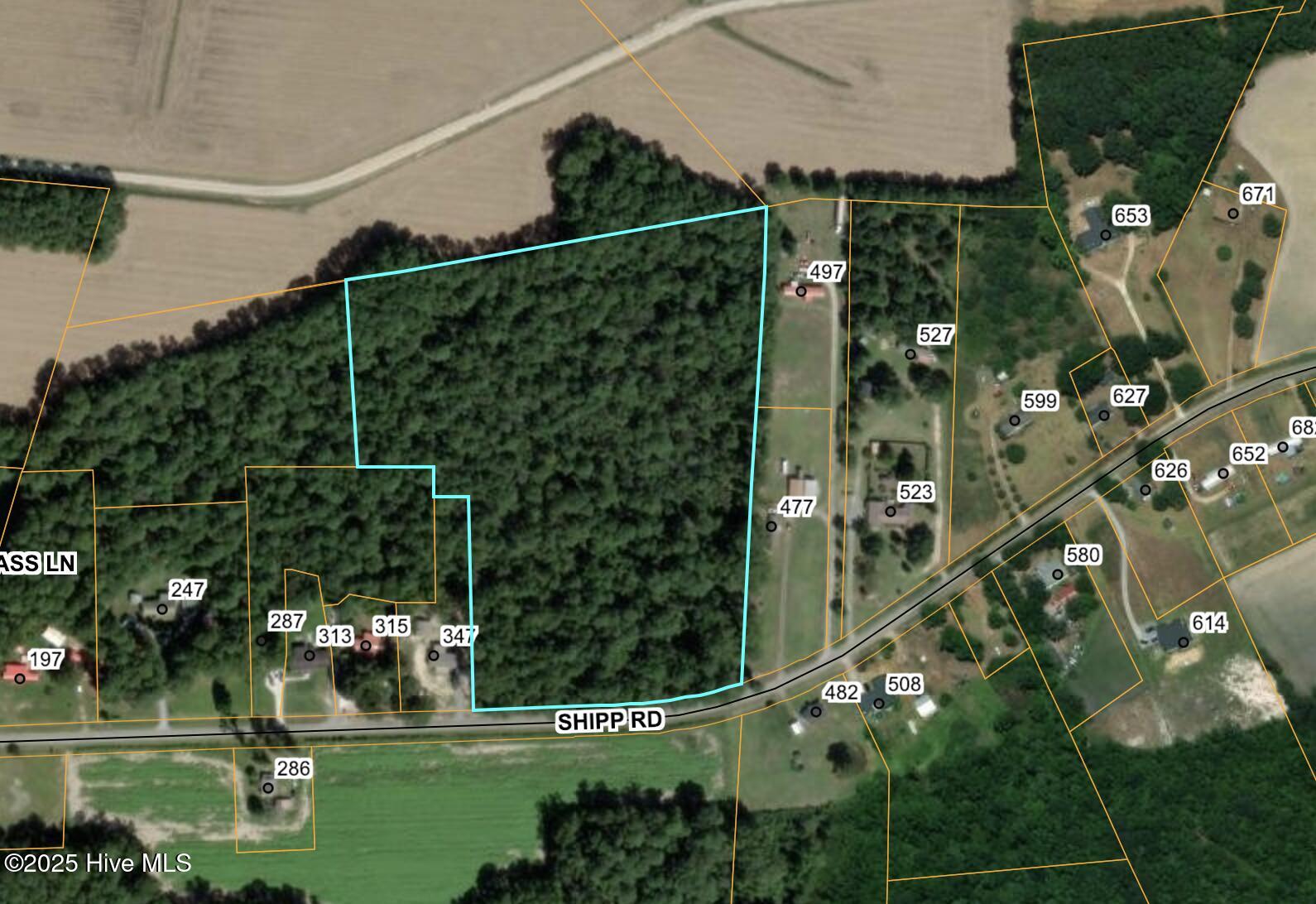 0 Shipp Road Property Photo 1