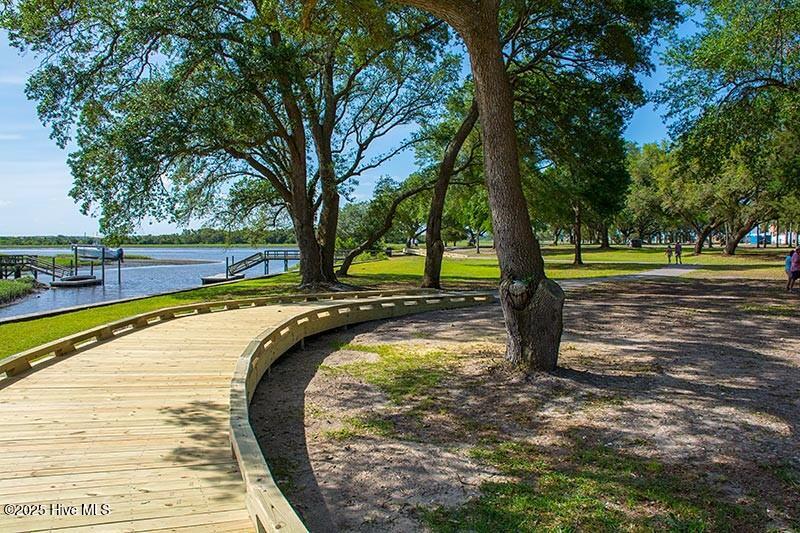 296 Camellia Court Property Photo 106