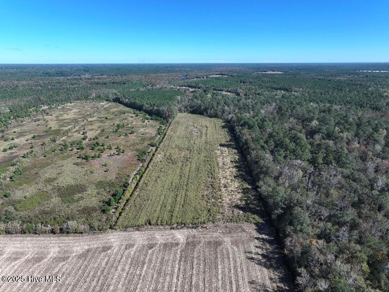 Tbd Hwy 53 Property Photo 4